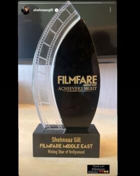 Filmfare Middle East Achievers Night 2022 Dubai