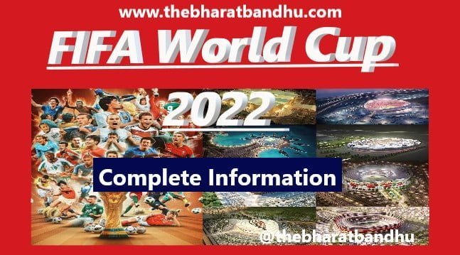 FIFA World Cup 2022 News