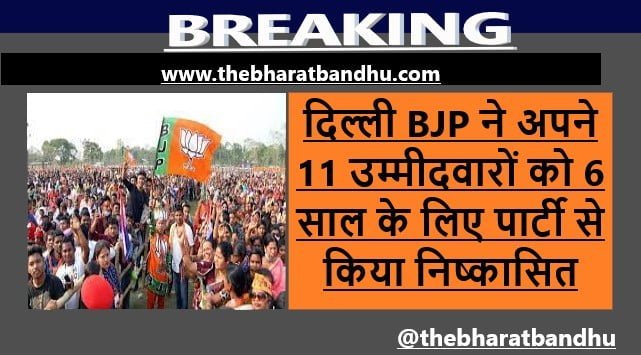 Delhi BJP has expelled 11 rebel candidates