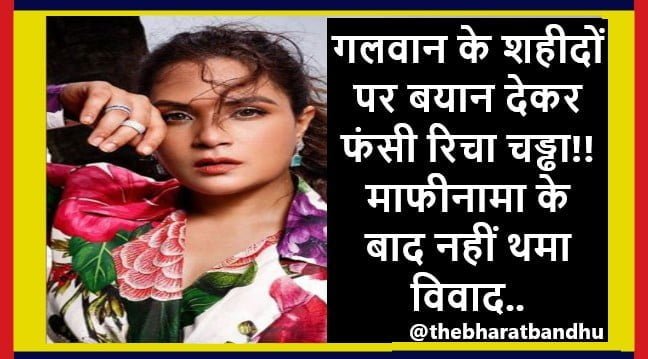 Richa Chadha Controversy