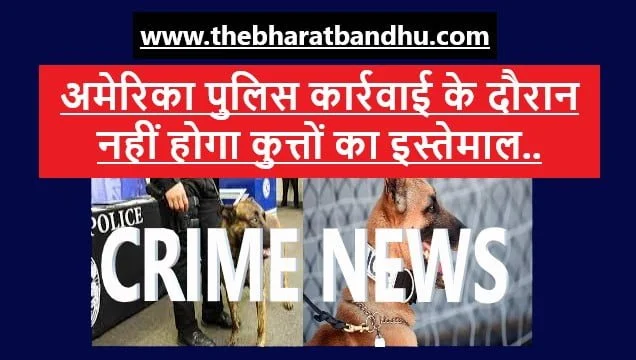 America California Police Dog Controversy: अमेरिका कैलिफोर्निया पुलिस कार्रवाई में कुत्तों के इस्तेमाल को लेकर आ गया बड़ा फैसला 19 America California Police Dog Controversy: अमेरिका कैलिफोर्निया पुलिस कार्रवाई में कुत्तों के इस्तेमाल को लेकर आ गया बड़ा फैसला