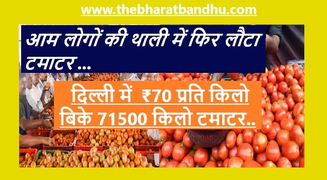 Tomato Sale in Delhi: टमाटर सस्ते मिले तो दिल्ली वालों ने खरीदा हजारों किलो टमाटर वायरल टमाटर वाले का मिला पता 1 Tomato Sale in Delhi
