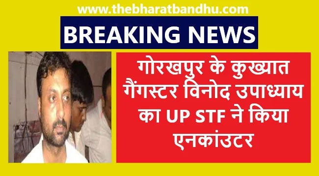 Gorakhpur Vinod Upadhyay Encounter: गोरखपुर गैंगस्टर विनोद उपाध्याय के एनकाउंटर की इनसाइड स्टोरी